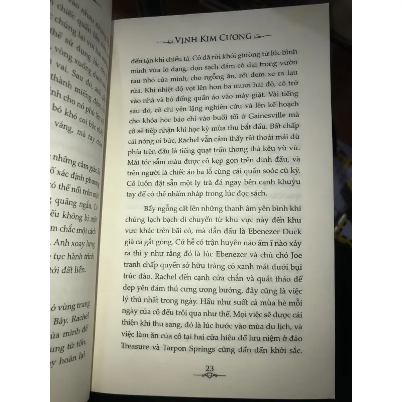 Vịnh kim cương - Linda Howard 1005862