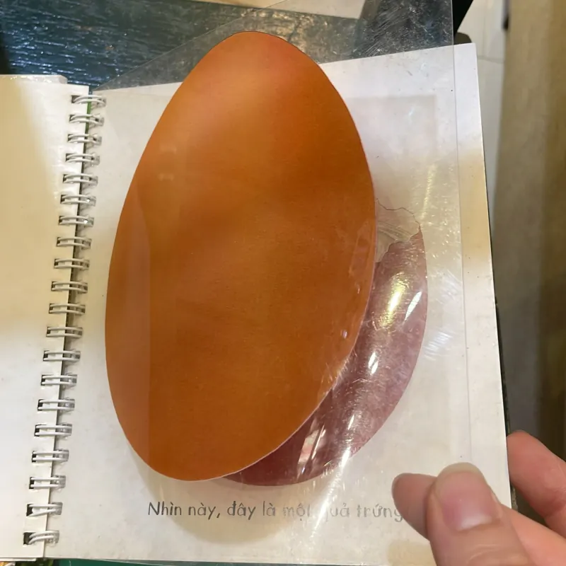 Những khám phá đầu tiên của tớ : Trứng - nhã nam  1027418
