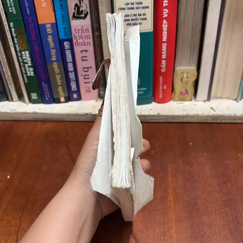 II Văn Hoá Việt: Một Trăm Điều Nên Biết Về Phong Tục Việt Nam - Tân Việt - 1997 800351