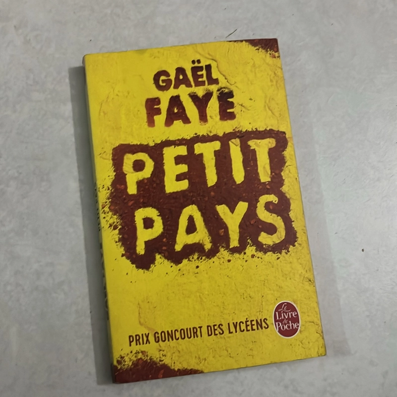 Petit pays 503749