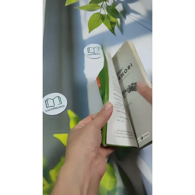 Phương Pháp Montessori - Nghệ Thuật Nuôi Dạy Trẻ Đỉnh Cao 705669