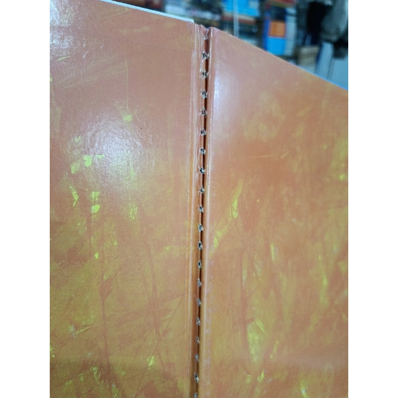 Ngỗng Suzy ngốc nghếch mà không ngờ nghệch - Petr Horácek (Quỳnh Lê dịch) 737936