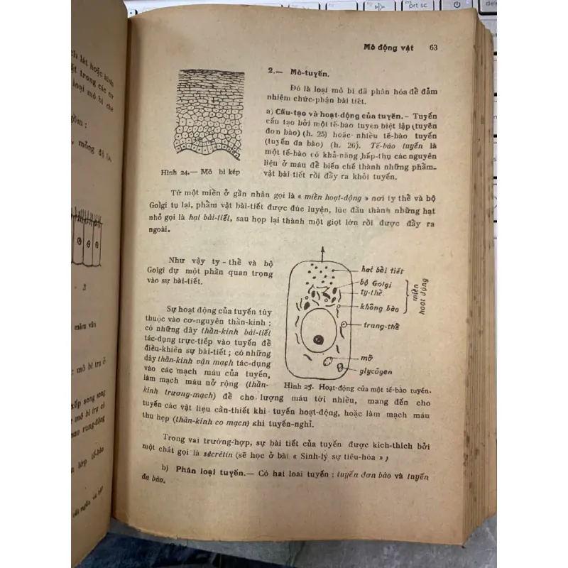 VẠN VẬT HỌC LỚP MƯỜI HAI A - ĐỖ DANH TẦM & NGUYỄN VĂN LONG 716801