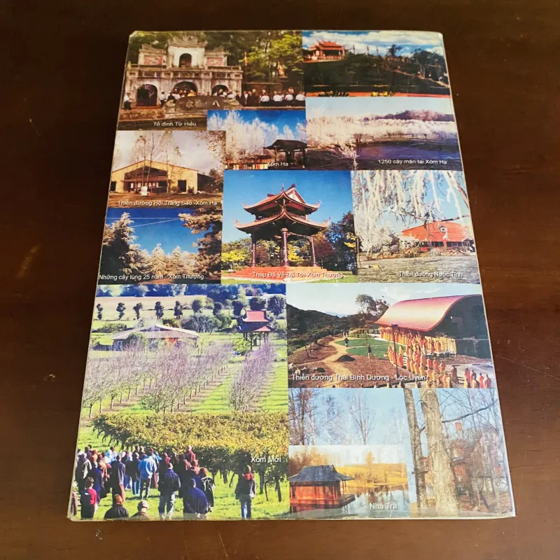 Hương trà toả ngát - Thích Nhất Hạnh - Lá Bối  1042521