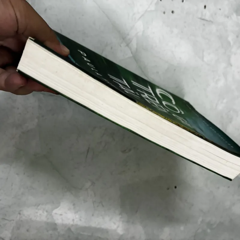 Cô gái trên tàu 1039390