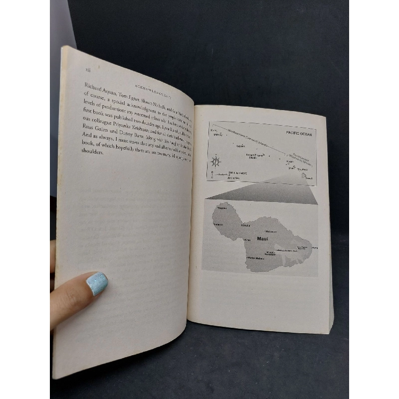 The Deamon Crown 923071