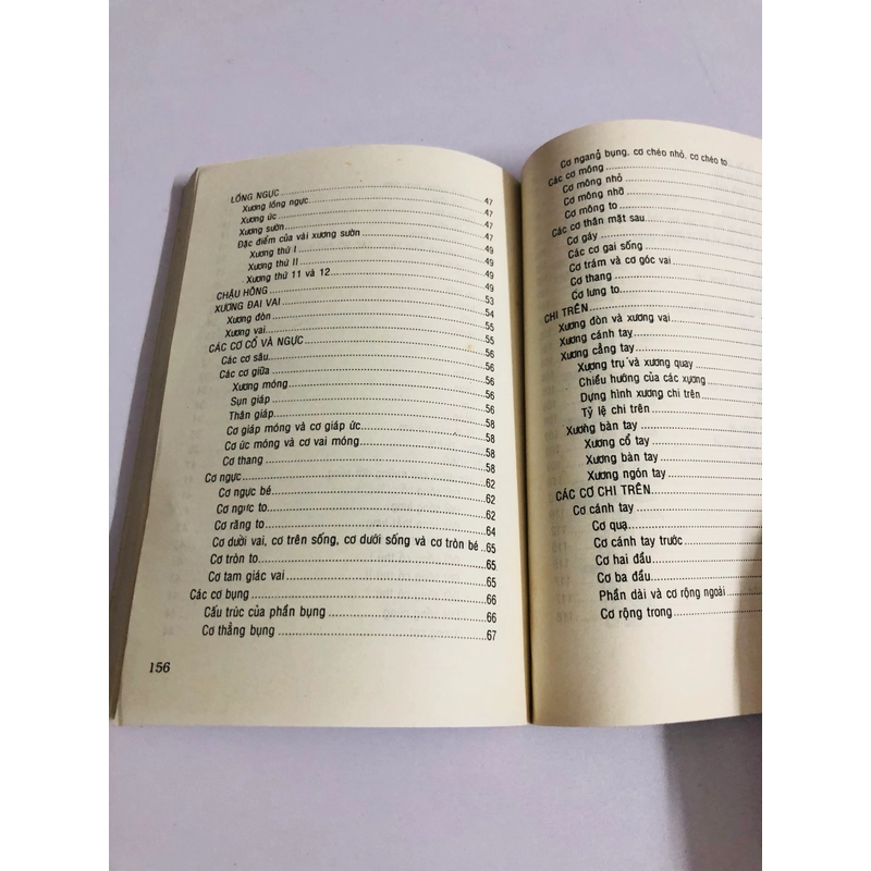 GIẢI PHẪU TẠO HÌNH 539433