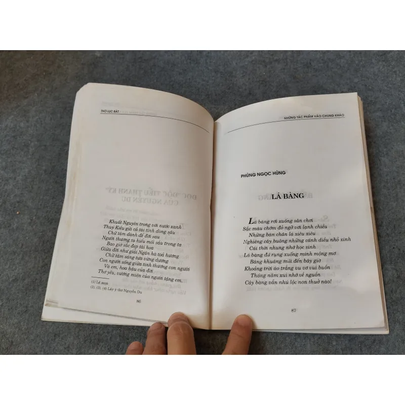 THƠ LỤC BÁT 719979