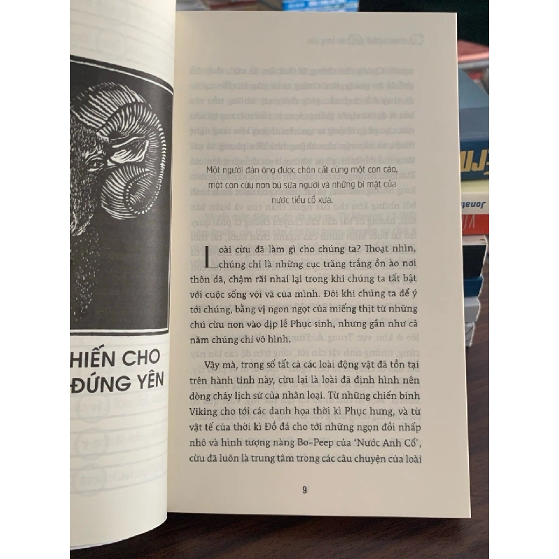 Lược sử thế giới trên lưng cừu -Sally Coulthard 787731