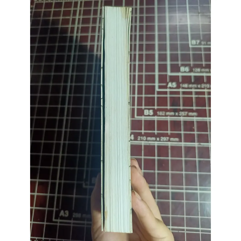 Bản thảo bằng đá - Luis Garcia Jambrina 754679