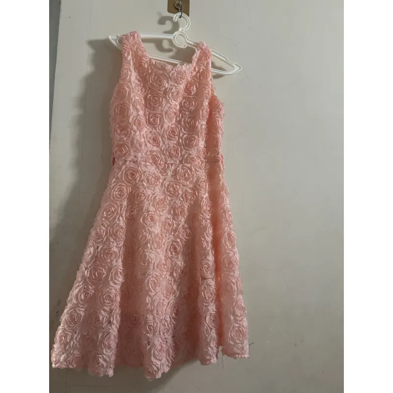 Váy hoa hồng 933393