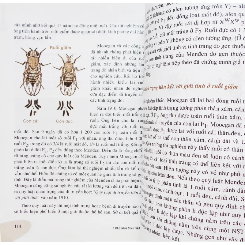 Các nhà sinh học nổi tiếng Việt Nam & Thế giới 15090