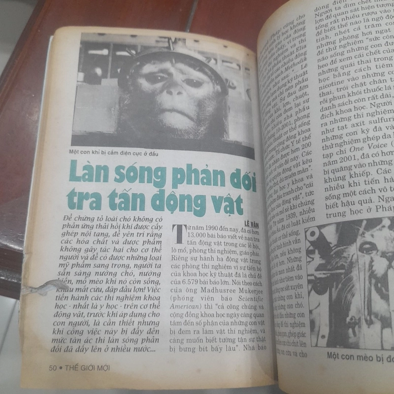 THẾ GIỚI MỚI số 489 ngày 3.6.2002 519458