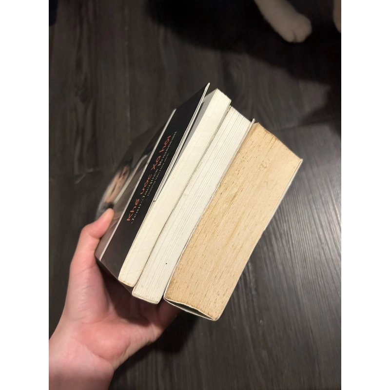 Combo 3 tác phẩm của Alphabooks 352196