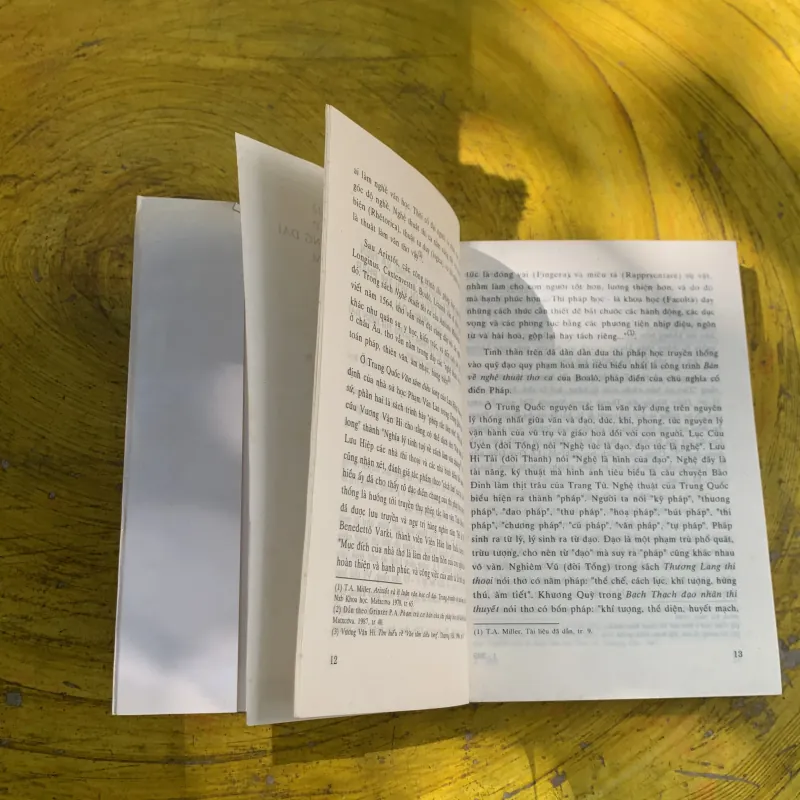 MẤY VẤN ĐỀ THI PHÁP VĂN HỌC TRUNG ĐẠI VIỆT NAM - TRẦN ĐÌNH SỬ  785625