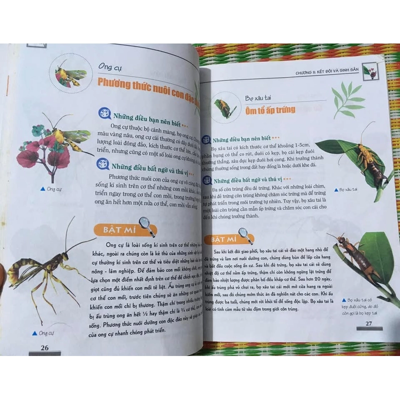 Khám Phá Bí Ẩn Thế Giới Tự Nhiên Dành Cho Học Sinh : Côn Trùng 475385