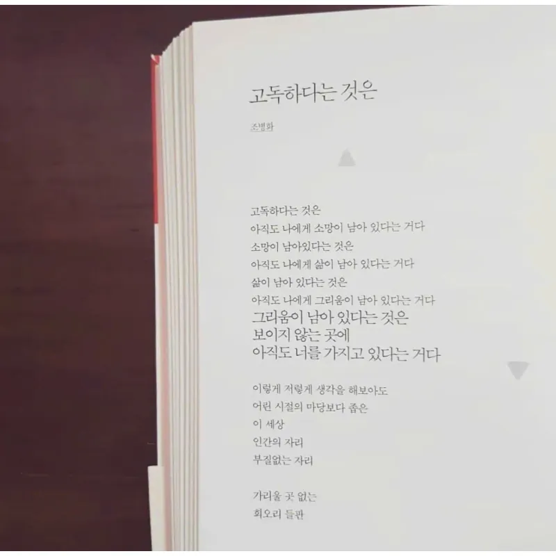 Biết đâu những vì sao sẽ mang nỗi buồn của em đi  어쩌면 별들이 너의 슬픔을 가져갈지도 몰라 788958