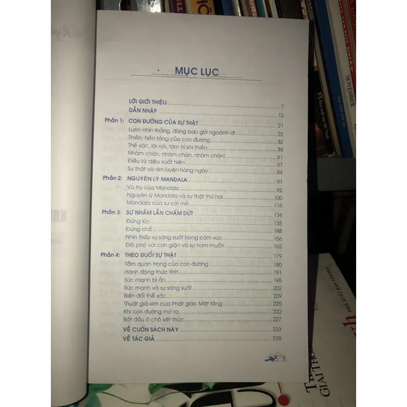 Không bao giờ ngoảnh lại - Rigdzin Shikpo 728217