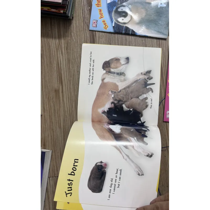 Bộ sách 9 quyển tiếng Anh cho bé See how they grow in màu mới đẹp 1031411