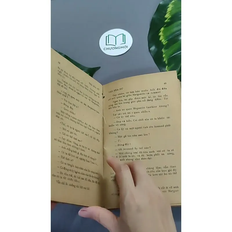 Trà Hoa Nữ 604659