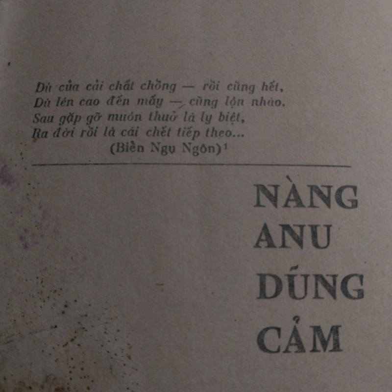 Cách tay nữ thần - Rintsen 538792
