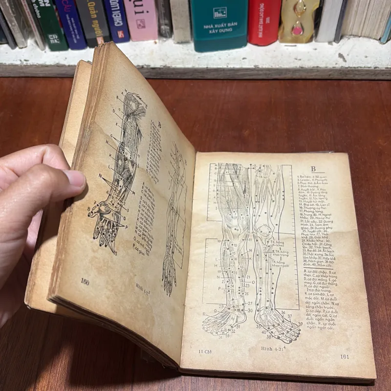 [Sách Mất Bìa, Tửng Bị Ẩm] - II Châm Cứu: Châm Tê - Hoàng Bảo Châu (Dịch) - 1975 798969