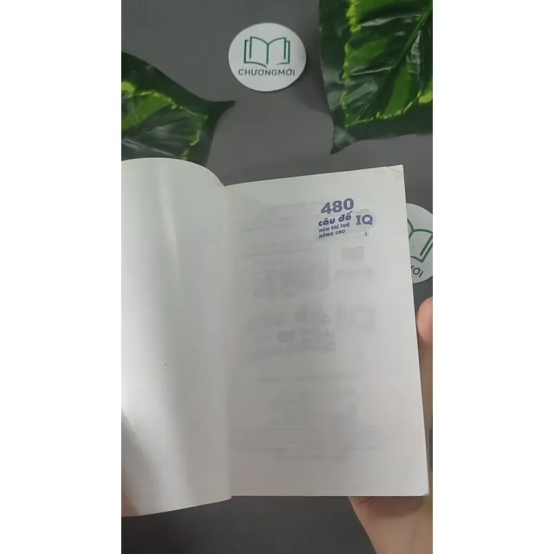 480 Câu Đố Rèn Trí Tuệ Nâng Cao IQ - 2 -  604613