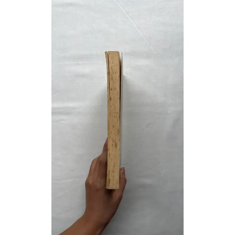 12 Years a Slave - Solomon Northup  793128