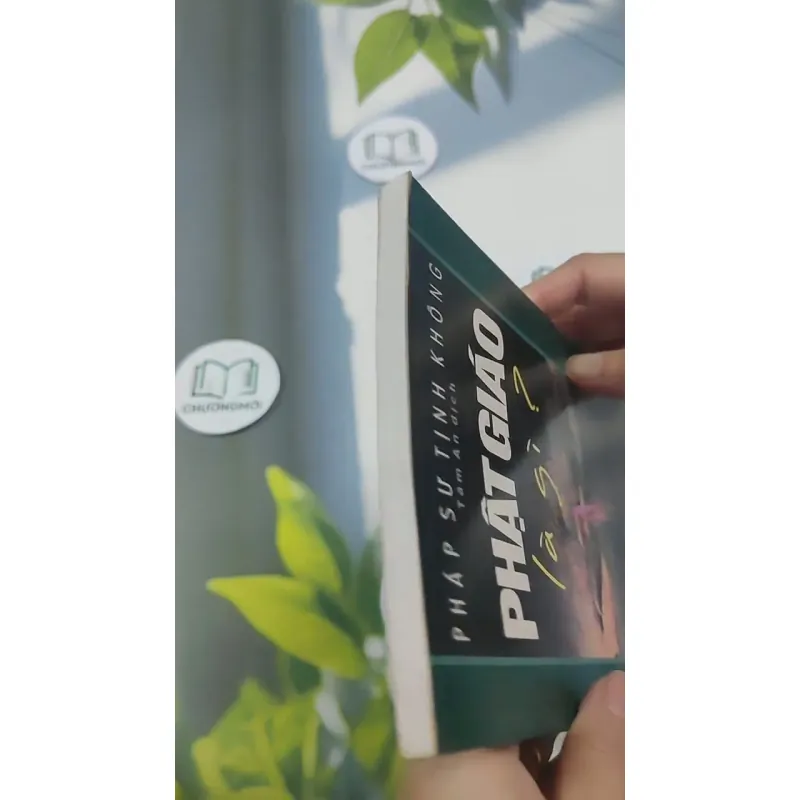 Phật Giáo Là Gì? 715592