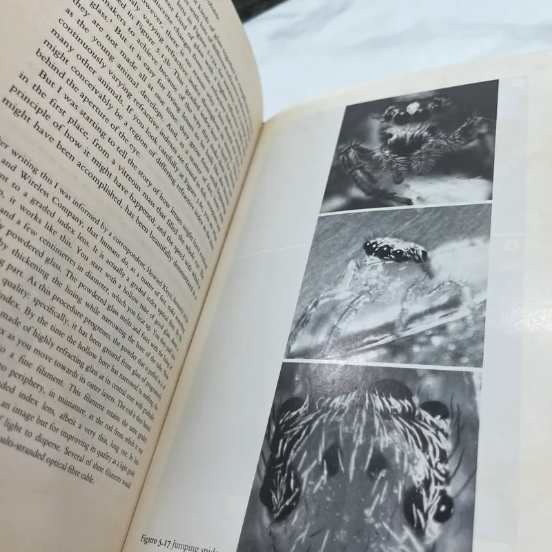 Climbing mount improbable Richard Dawkins 562127