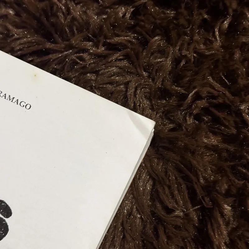 Combo hang động + mọi cái tên 708226