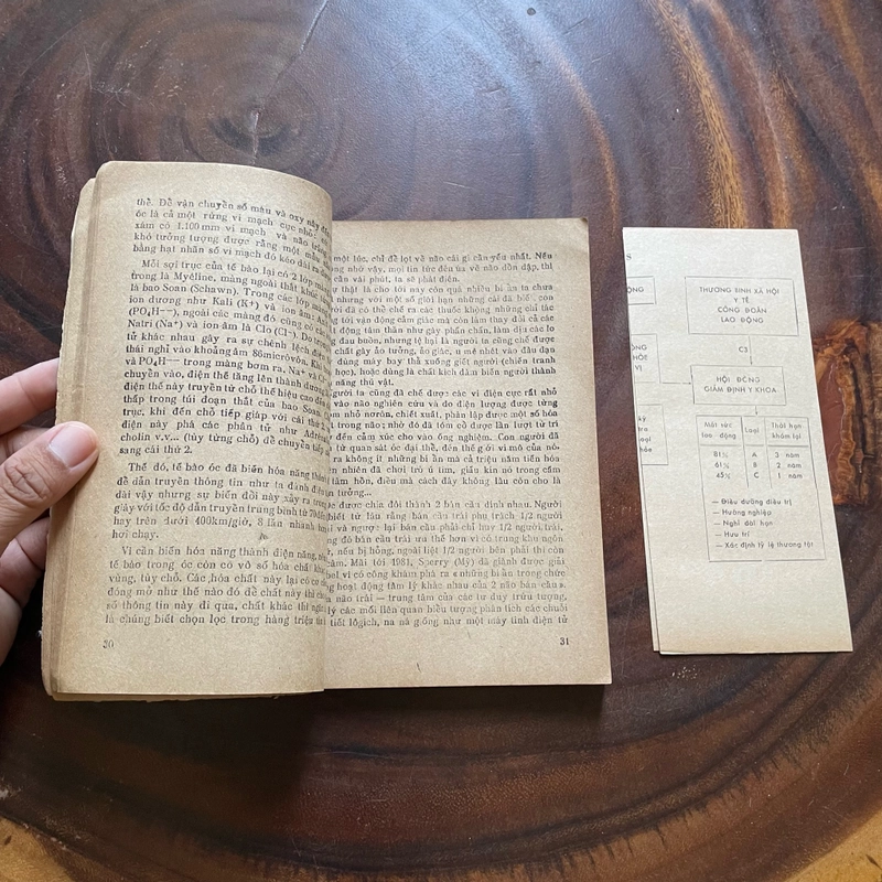 II Stress Trong Thời Đại Văn Minh - BS. Phạm Ngọc Rao & BS. Nguyễn Hữu Nghiêm - 1986 464102