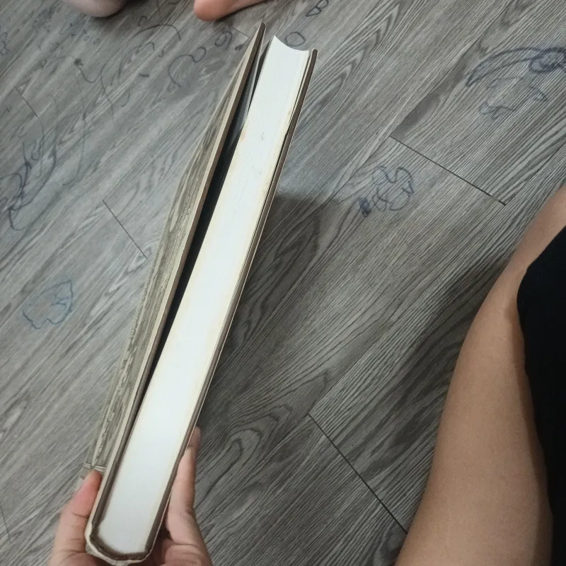 Đông Dương Xinh Đẹp Và Kỳ Vĩ - Pierre Dieulefils 1020129