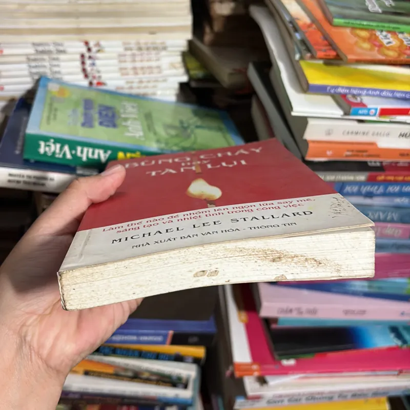 II Sách Kỹ Năng: Bùng Cháy Hay Tàn Lụi - MICHAEL LEE STALLARD - 2008 779231