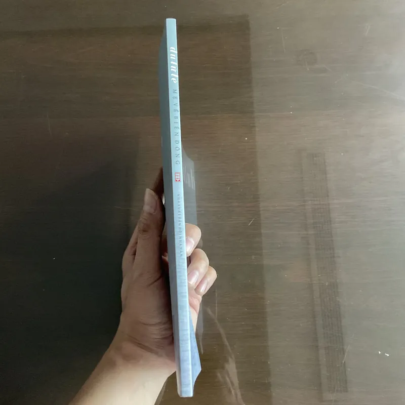 [TRƯỜNG KHÚC] Mẹ về biển đông - Du Tử Lê 719550