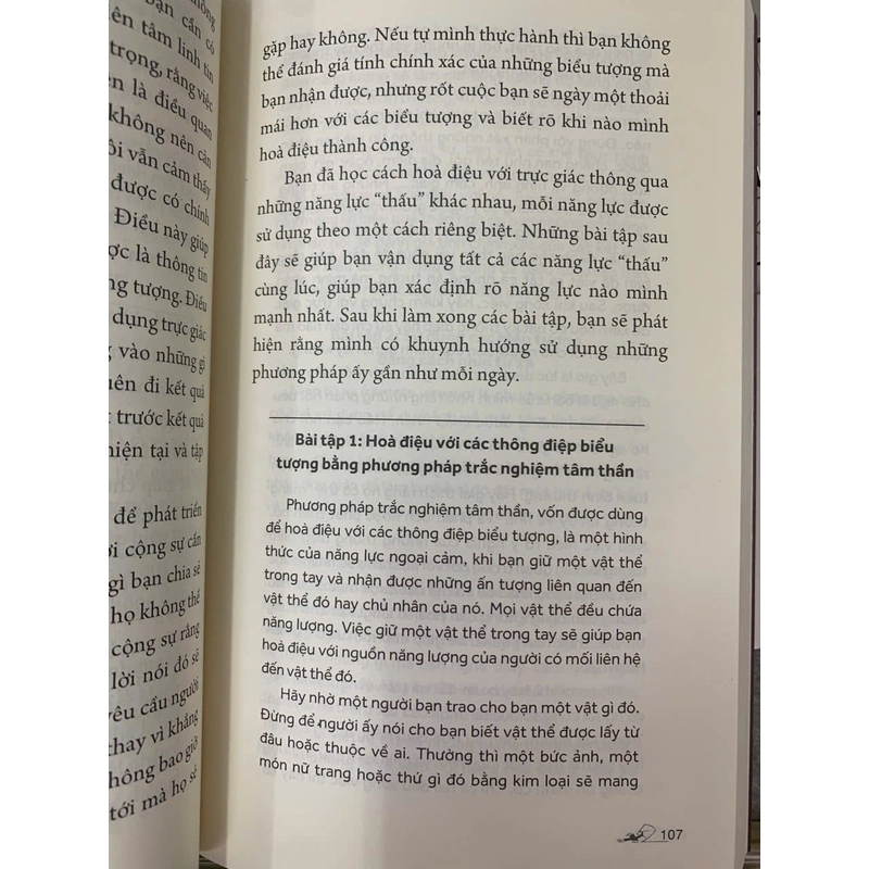 CUỐN SÁCH VỀ CÁC BIỂU TƯỢNG TÂM LINH - MELANIE BARNUM 538356