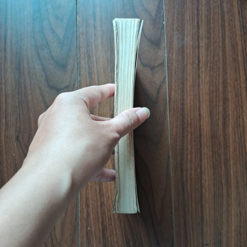 Những người thích đùa  504977