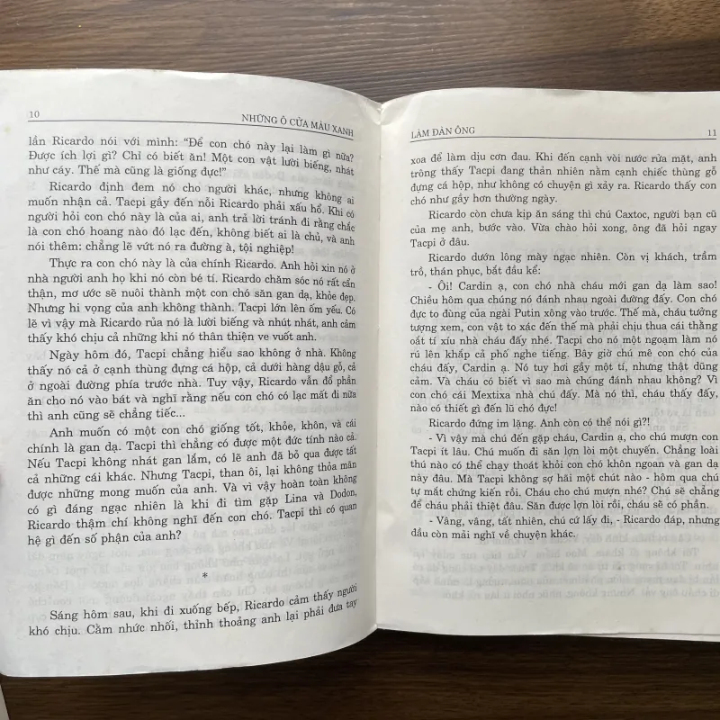 Những ô cửa màu xanh - Đoàn Tử Huyến dịch 974990