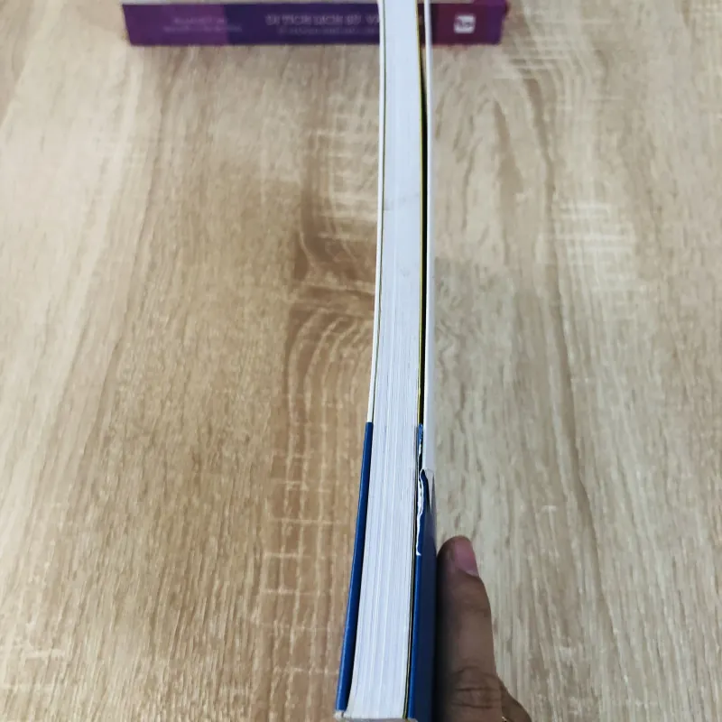 HOÀNG TỬ BÉ  2013 1006322