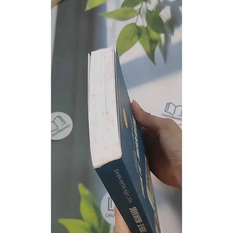 Giáo trình Tiền tệ - Ngân hàng - PGS TS Tô Kim Ngọc 688499