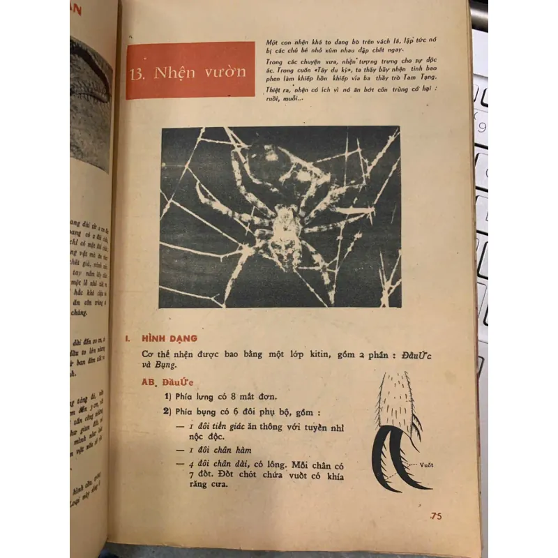 VẠN VẬT HỌC LỚP BẢY - BAN GIÁO SƯ ALPHA 747452