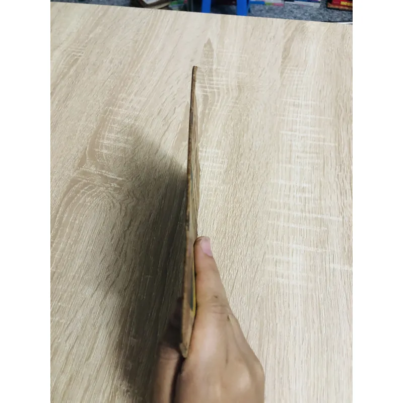 ĐẤT PHÈN Ở ĐỒNG BẰNG SÔNG CỬU LONG  956939