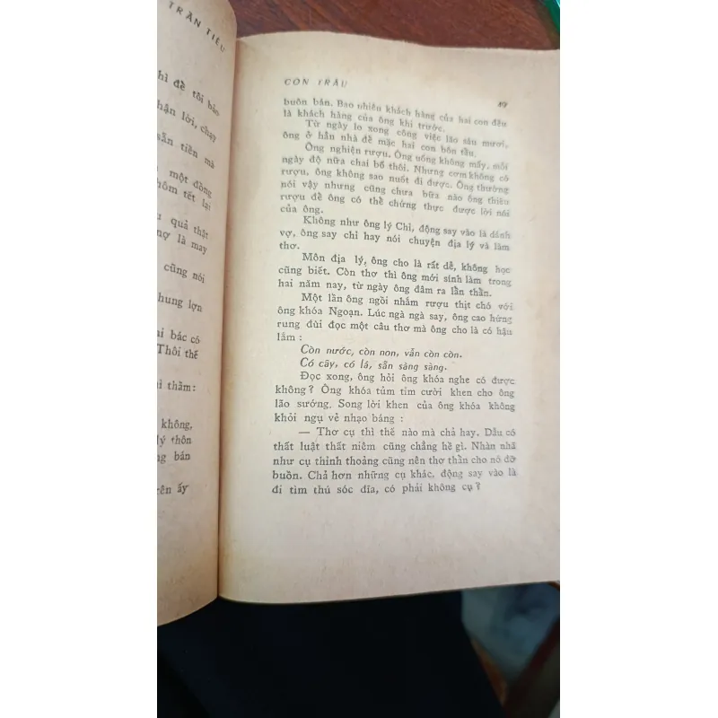 CON TRÂU - TRẦN TIÊU 704135