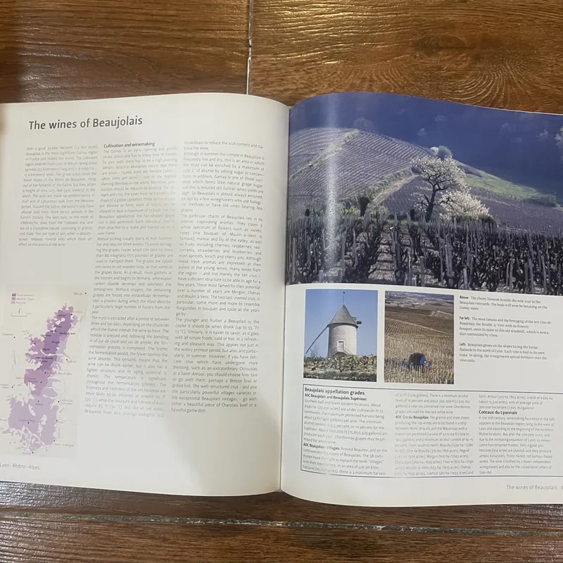 Culinaria France: A Celebration of Food and Tradition 727193