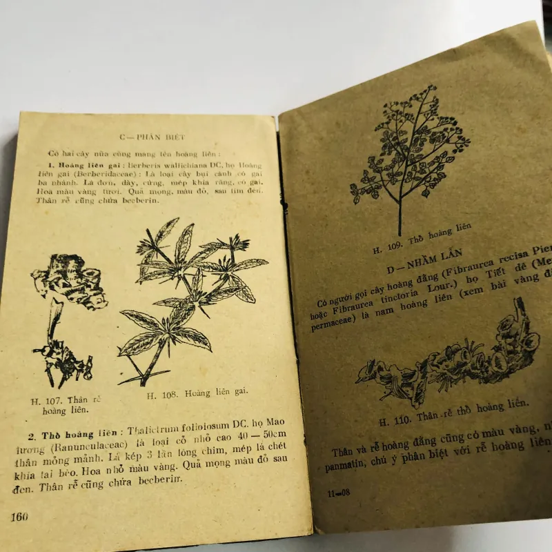 PHÂN BIỆT VÀ CHỐNG NHẦM LẪN DƯỢC LIỆU 1981 796540