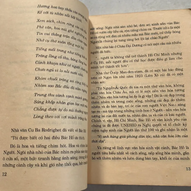 Thú chơi hoa cảnh non bộ xưa và nay - Phạm Kế - 1994s 800626