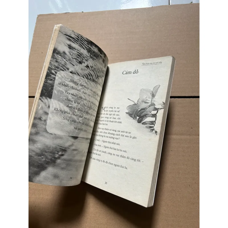 Hạt giống tâm hồn - Nghệ thuật sáng tạo cuộc sống 796739