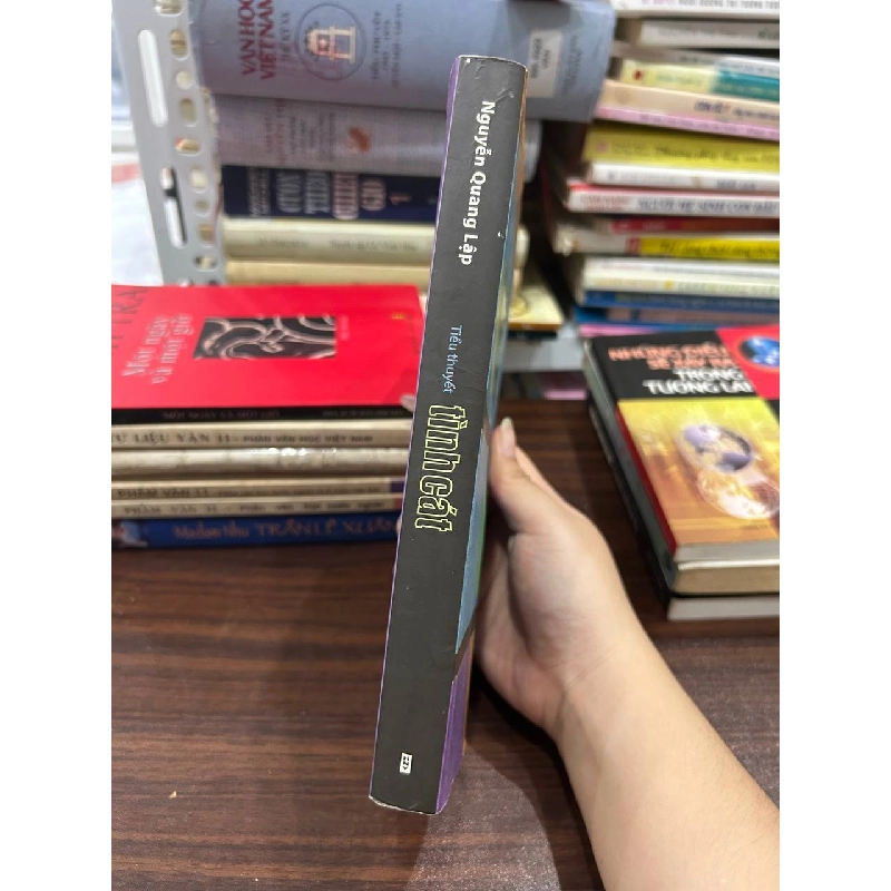 Tình Cát - Nguyễn Quang Lập - Nguyễn Quang Lập 1005808