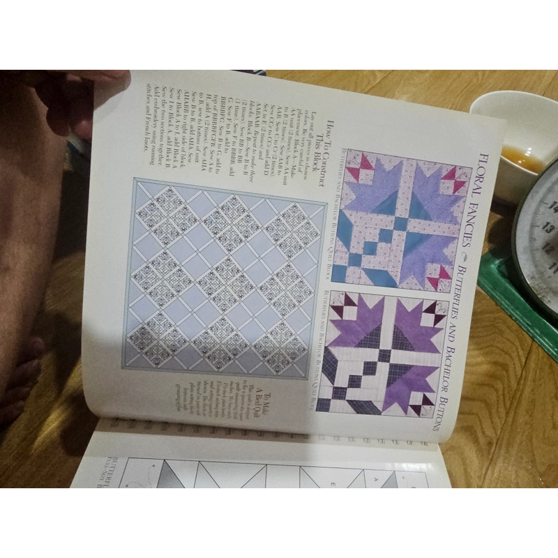 101 full size Quit blocks and borders (bìa cứng, in màu)
150k 501066