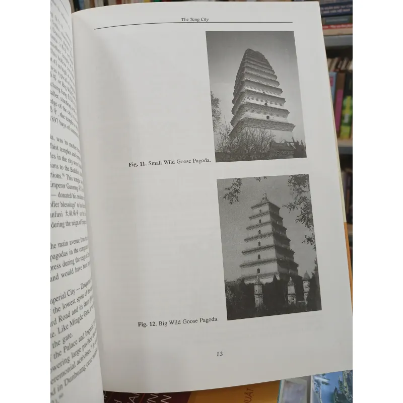 CITIES OF ARISTOCRATS AND BUREAUCRATS: THE DEVELOPMENT OF MEDIEVAL CHINESE CITYSCAPES 751661